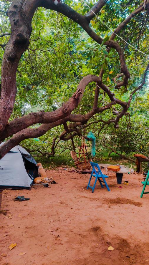 Peace Garden Hostel Auroville Kültér fotó