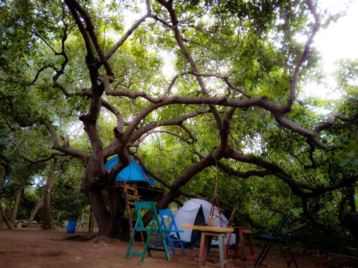 Peace Garden Hostel Auroville Kültér fotó