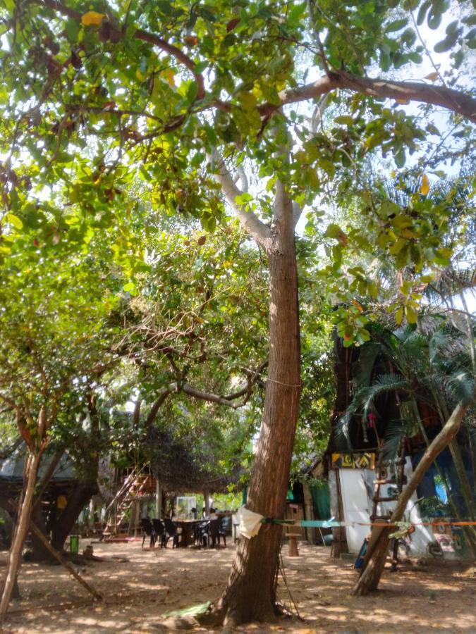 Peace Garden Hostel Auroville Kültér fotó